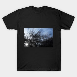 Smoked Sunshine T-Shirt